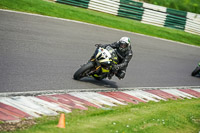 cadwell-no-limits-trackday;cadwell-park;cadwell-park-photographs;cadwell-trackday-photographs;enduro-digital-images;event-digital-images;eventdigitalimages;no-limits-trackdays;peter-wileman-photography;racing-digital-images;trackday-digital-images;trackday-photos